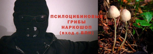 гашиш Няндома