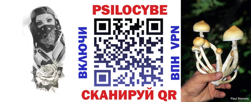 Псилоцибиновые грибы Cubensis  Купить где  Константиновск 